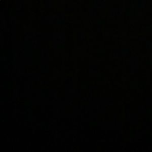 Meet your Posher, Larry